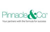 Pinnacle&Co CT.logo.200x128