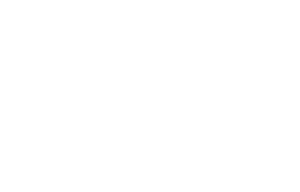 BusSouth.white