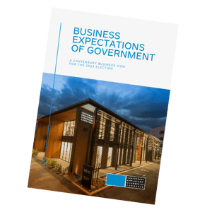 Business Expectations of Government